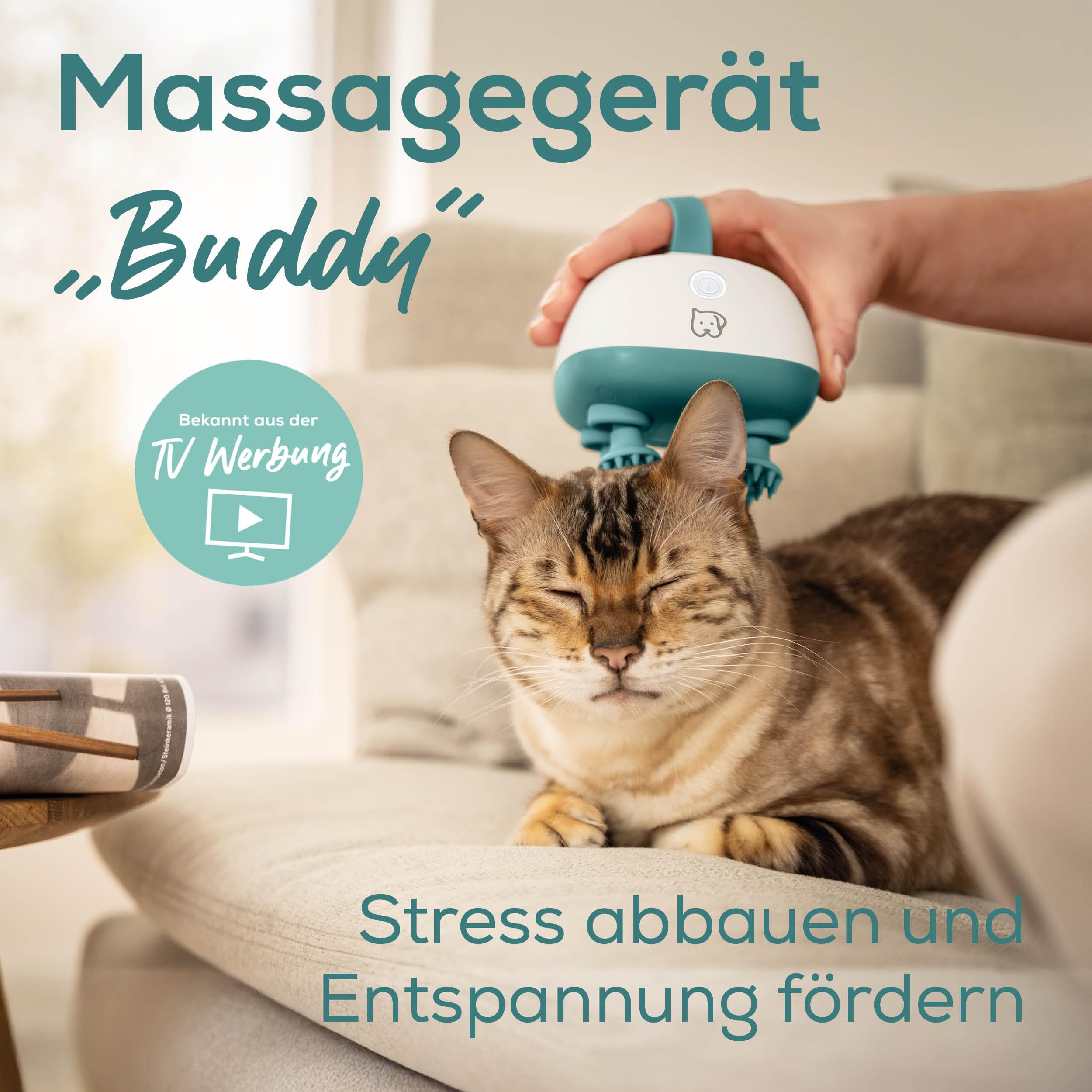 beurer-buddy-massageger-t-f-r-hunde-und-katzen-leises-haustier-massageger-t-mit- image 2
