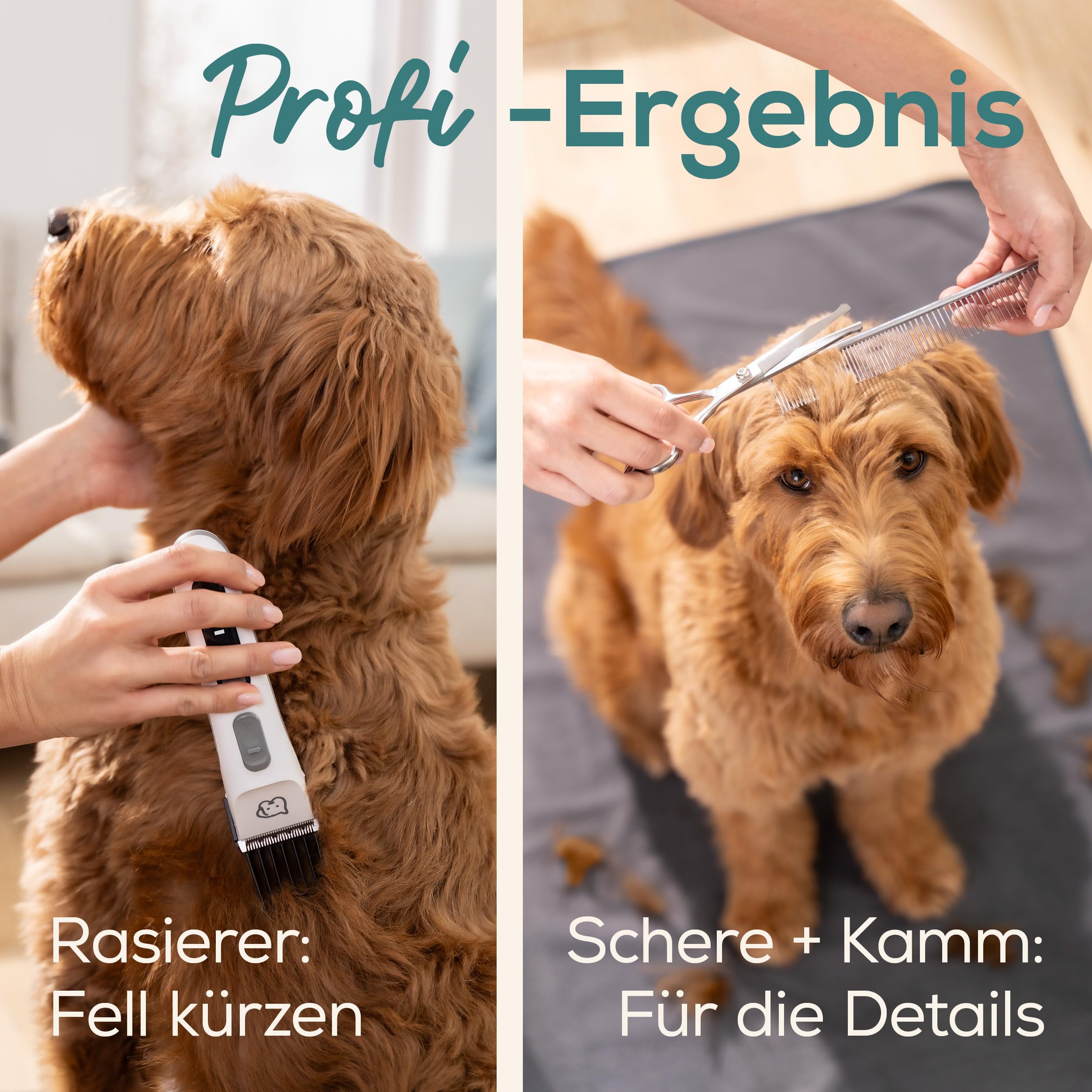 beurer-love-your-pet-schermaschine-fluffy-leiser-felltrimmer-f-r-hunde-und-katze image 6