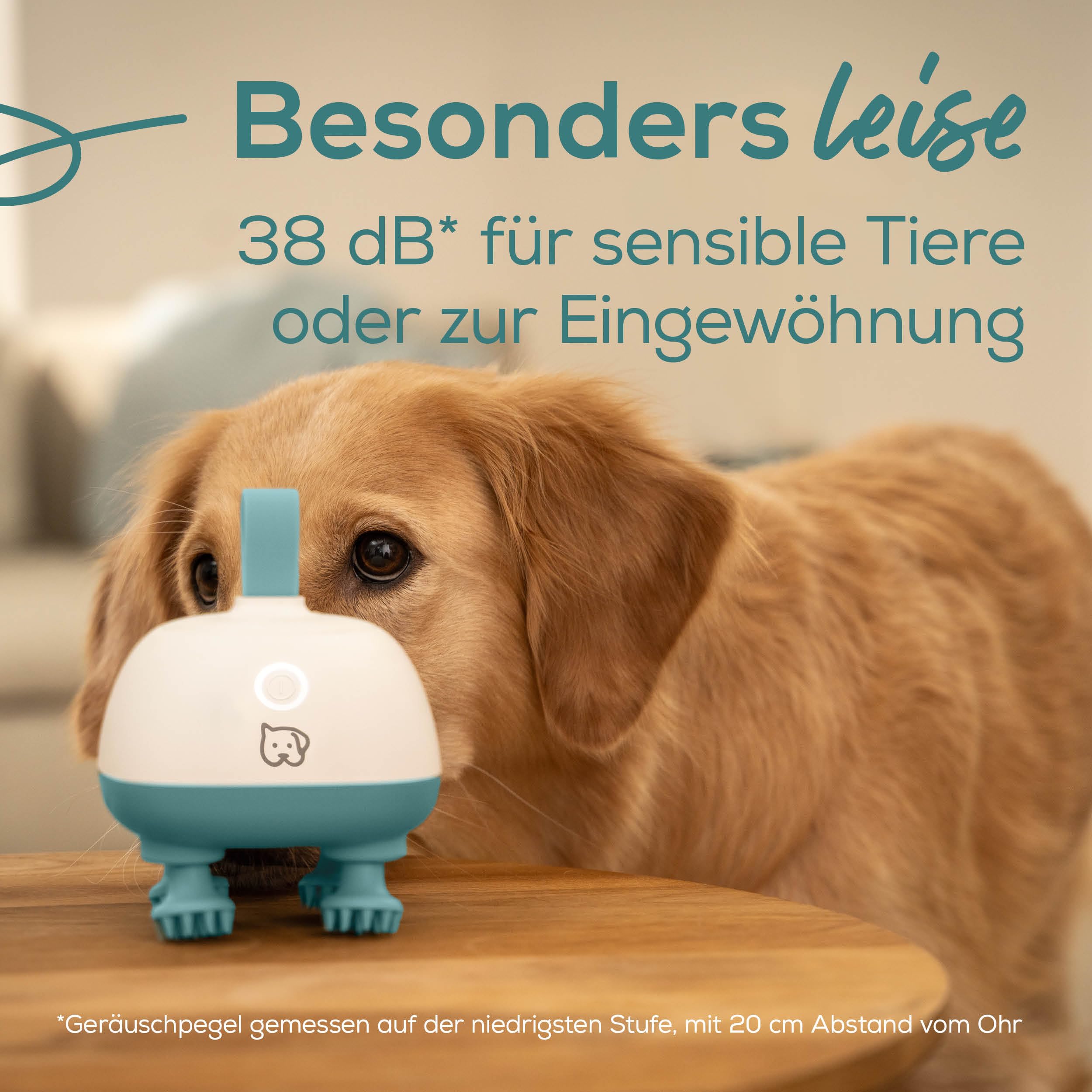 beurer-buddy-massageger-t-f-r-hunde-und-katzen-leises-haustier-massageger-t-mit- image 4